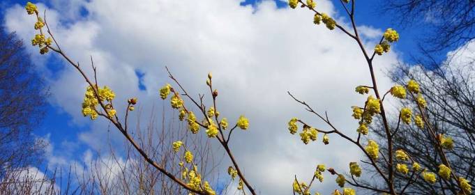 Погода в Україні на п'ятницю, 9 квітня Погода в Україні на п'ятницю, 9 квітня