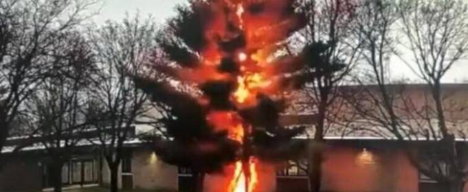 ВІДЕО. У штаті Вісконсін удар блискавки «зрубав» дерево ВІДЕО. У штаті Вісконсін удар блискавки «зрубав» дерево