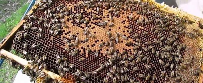 Погодные приметы на 30 апреля Погодные приметы на 30 апреля