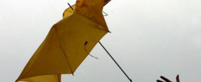 У Києві оголошено штормове попередження У Києві оголошено штормове попередження
