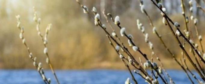 Квітень у Києві був холоднішим за кліматичну норму Квітень у Києві був холоднішим за кліматичну норму