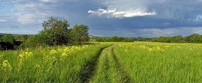 Погода в Україні на середу, 2 червня Погода в Україні на середу, 2 червня