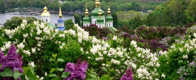 Календарна весна у Києві виявилась холоднішою за кліматичну норму Календарна весна у Києві виявилась холоднішою за кліматичну норму