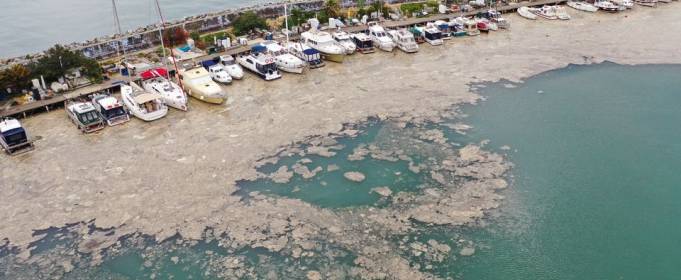 Екології Мармурового моря загрожує «морський слиз» Екології Мармурового моря загрожує «морський слиз»