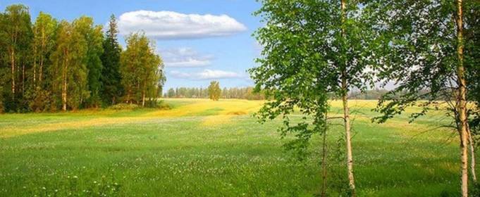 Погодні прикмети на 15 червня Погодні прикмети на 15 червня