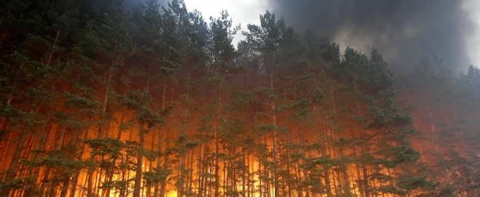 Лісові пожежі в Росії охопили понад 1 млн га Лісові пожежі в Росії охопили понад 1 млн га