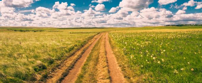 Погода в Україні на п'ятницю, 23 липня Погода в Україні на п'ятницю, 23 липня