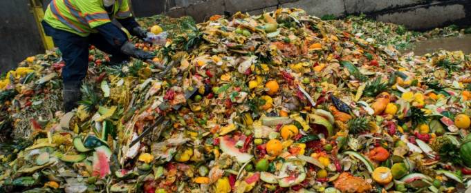 2,5 млрд т продуктів потрапляють у сміття щорічно 2,5 млрд т продуктів потрапляють у сміття щорічно