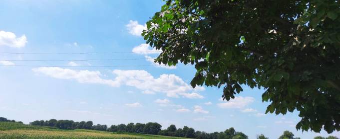 Погода в Україні на неділю, 1 серпня Погода в Україні на неділю, 1 серпня