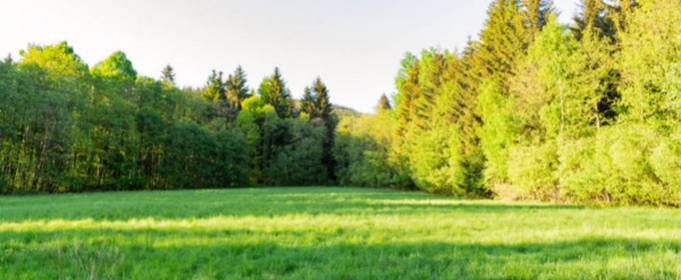 Pogoda w Polsce na 1.08.2021