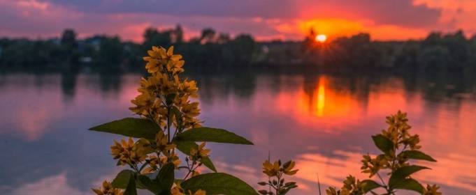 Погода в Україні на середу, 4 серпня Погода в Україні на середу, 4 серпня