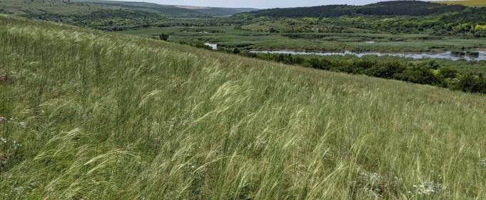 На Одещині відновлюють річку Ягорлик На Одещині відновлюють річку Ягорлик
