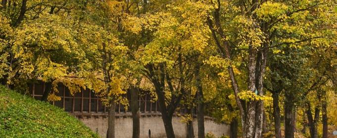 Именины 26 октября: у кого День ангела и что нельзя делать Именины 26 октября: у кого День ангела и что нельзя делать