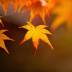 Pogoda w Polsce na 21.11.2021
