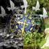 Horoskop na 26 grudnia 2022 - 1 stycznia 2023