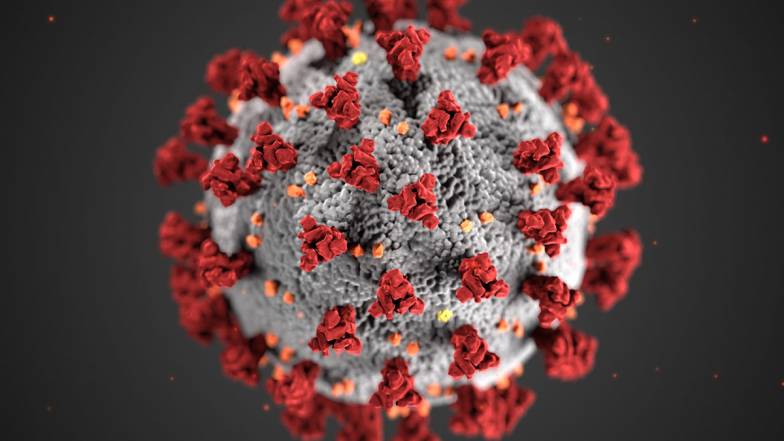 Варіант коронавірусу A.30 стійкий до антитіл, індукованих вакцинами Pfizer та AstraZeneca Варіант коронавірусу A.30 стійкий до антитіл, індукованих вакцинами Pfizer та AstraZeneca