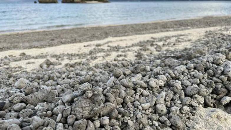 Велике підводне виверження вулкана створює хвилі пемзи біля берегів Японії Велике підводне виверження вулкана створює хвилі пемзи біля берегів Японії