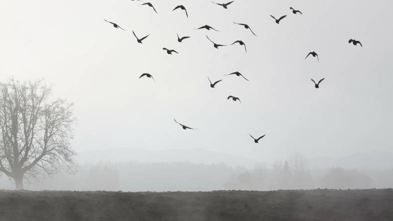 Погодні прикмети на 17 листопада Погодні прикмети на 17 листопада