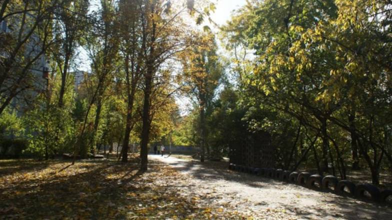 Погода в Запоріжжі на п'ятницю, 19 листопада Погода в Запоріжжі на п'ятницю, 19 листопада