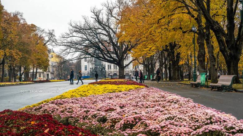 Погода в Харкові на п'ятницю, 19 листопада Погода в Харкові на п'ятницю, 19 листопада