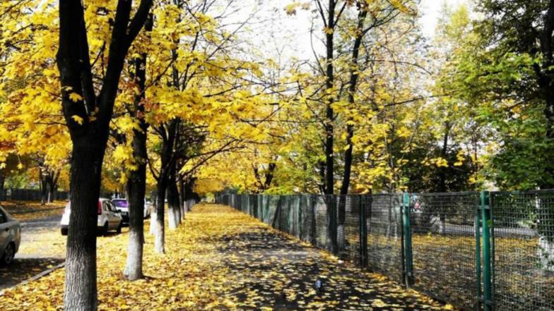 Погода у Запоріжжі на понеділок, 22 листопада Погода у Запоріжжі на понеділок, 22 листопада