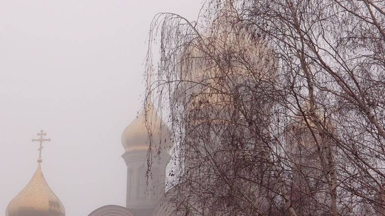 Погода в Харкові на понеділок, 22 листопада Погода в Харкові на понеділок, 22 листопада