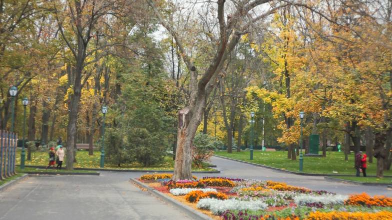 Погода в Харькове на четверг, 25 ноября Погода в Харькове на четверг, 25 ноября
