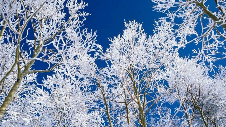 Погодные приметы на 9 декабря Погодные приметы на 9 декабря