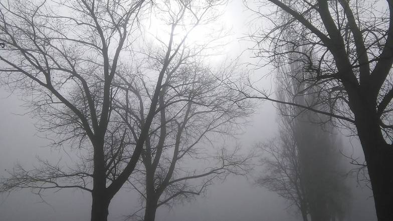 Погода в Запоріжжі на середу, 15 грудня Погода в Запоріжжі на середу, 15 грудня