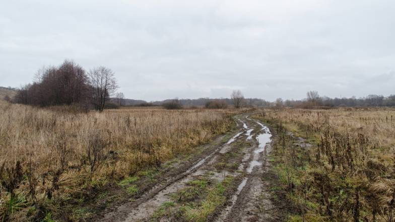 Погода в Харкові на четвер, 16 грудня Погода в Харкові на четвер, 16 грудня
