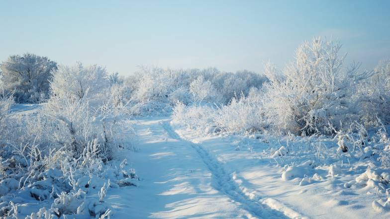 Погодные приметы на 24 декабря Погодные приметы на 24 декабря