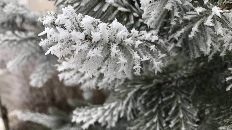 Погода в Києві на середу, 29 грудня Погода в Києві на середу, 29 грудня