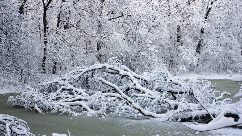 Погода в Києві на середу, 19 січня Погода в Києві на середу, 19 січня