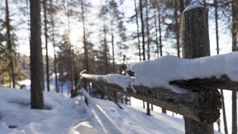 Именины 26 января: у кого День ангела и что нельзя делать Именины 26 января: у кого День ангела и что нельзя делать