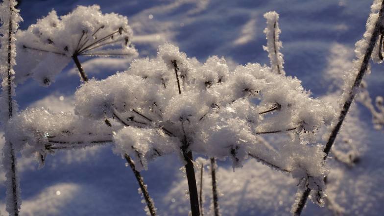 Іменини 28 січня: у кого День ангела і що не можна робити Іменини 28 січня: у кого День ангела і що не можна робити