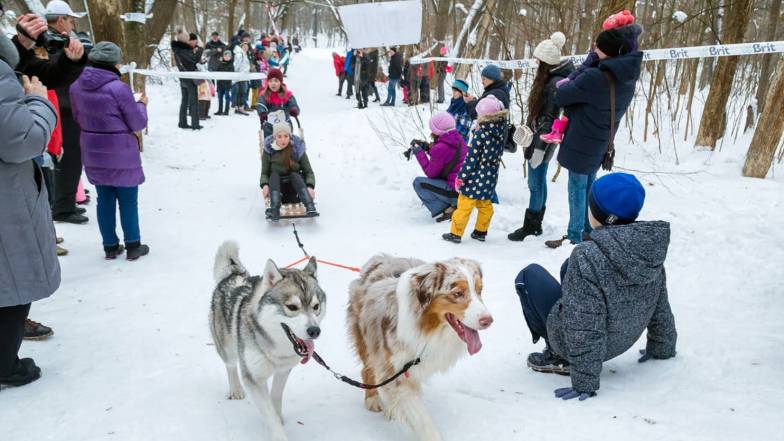 Погода в Харькове на четверг, 3 февраля Погода в Харькове на четверг, 3 февраля