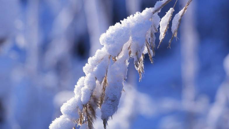 Погода в Украине на воскресенье, 6 февраля Погода в Украине на воскресенье, 6 февраля