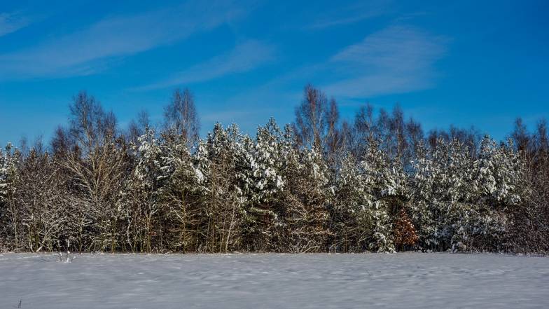 Именины 8 февраля: у кого День ангела и что нельзя делать Именины 8 февраля: у кого День ангела и что нельзя делать