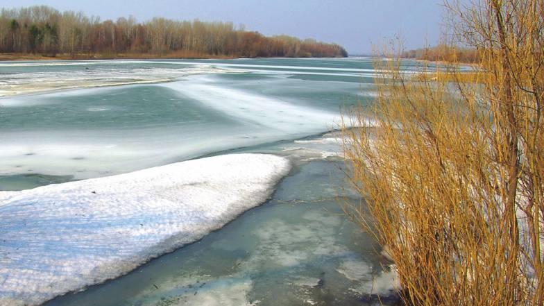 Погода в Україні на п'ятницю, 11 лютого Погода в Україні на п'ятницю, 11 лютого
