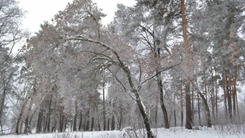 Іменини 11 лютого: у кого День ангела і що не можна робити Іменини 11 лютого: у кого День ангела і що не можна робити