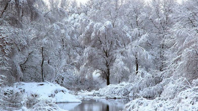 Именины 12 февраля: у кого День ангела и что нельзя делать Именины 12 февраля: у кого День ангела и что нельзя делать