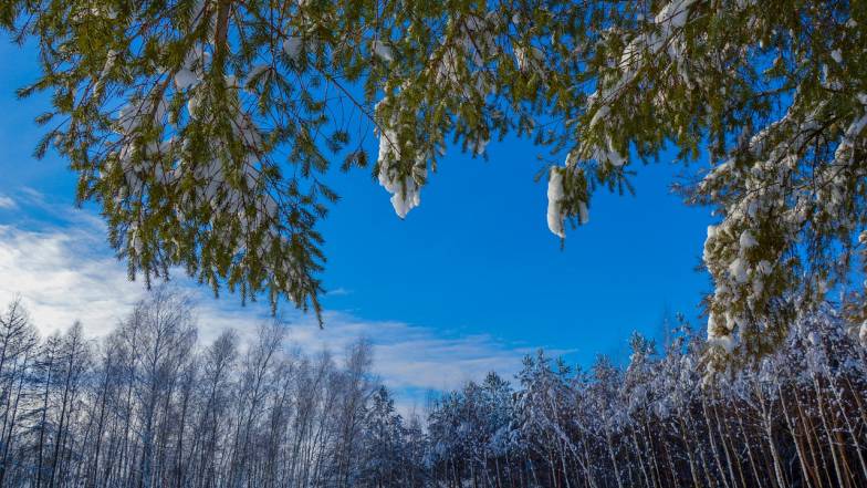 Погода в Украине на вторник, 15 февраля Погода в Украине на вторник, 15 февраля