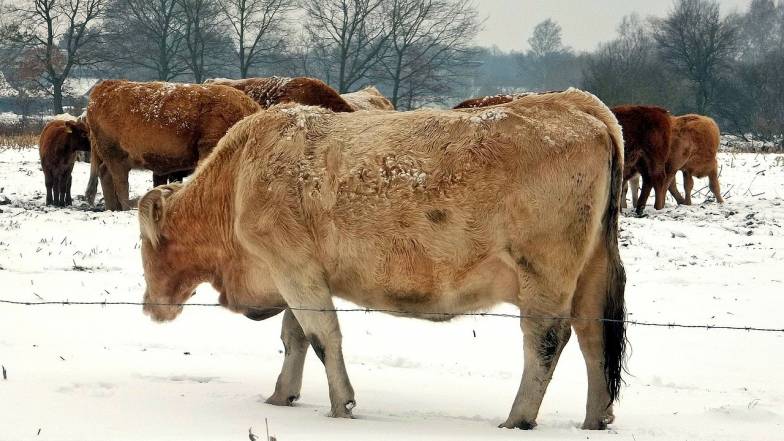 Погодные приметы на 18 февраля Погодные приметы на 18 февраля
