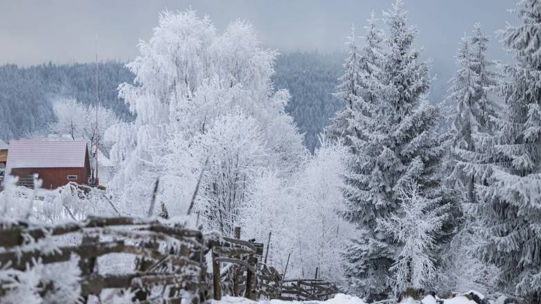 Погода у Львові на неділю, 27 лютого Погода у Львові на неділю, 27 лютого