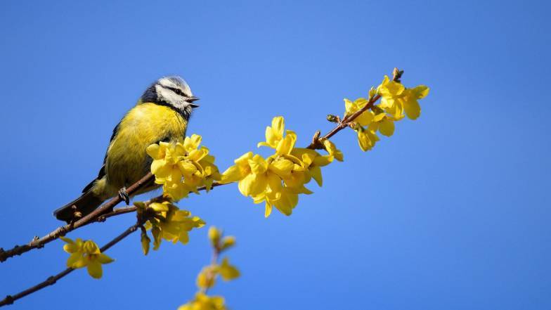 Погодні прикмети на 3 квітня Погодні прикмети на 3 квітня