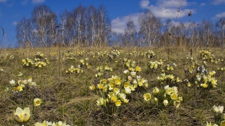 Погода в Україні на четвер, 14 квітня Погода в Україні на четвер, 14 квітня