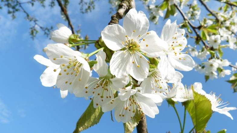 Погода в Запоріжжі на неділю, 1 травня Погода в Запоріжжі на неділю, 1 травня