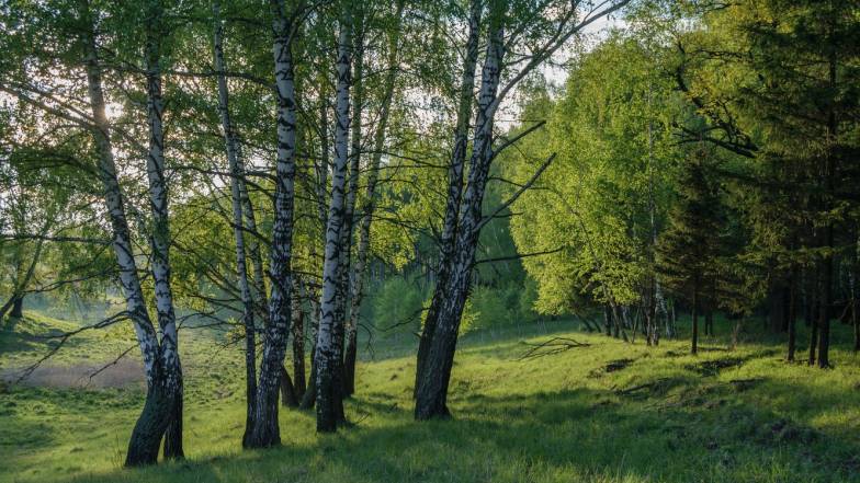 Погода в Запоріжжі на середу, 15 червня Погода в Запоріжжі на середу, 15 червня