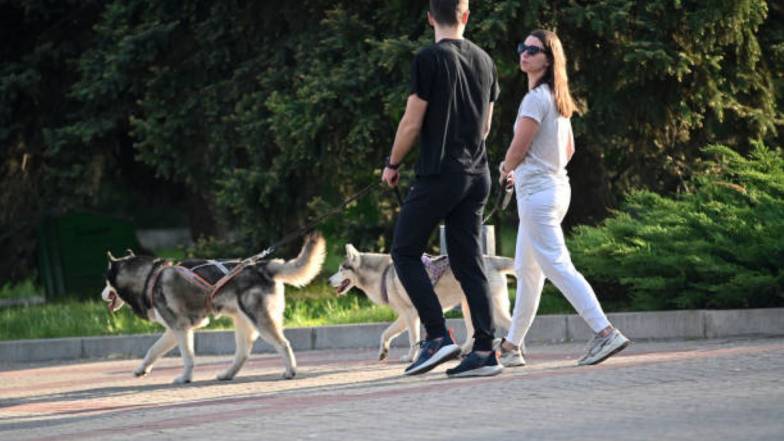 Погода в Запоріжжі на суботу, 18 червня Погода в Запоріжжі на суботу, 18 червня