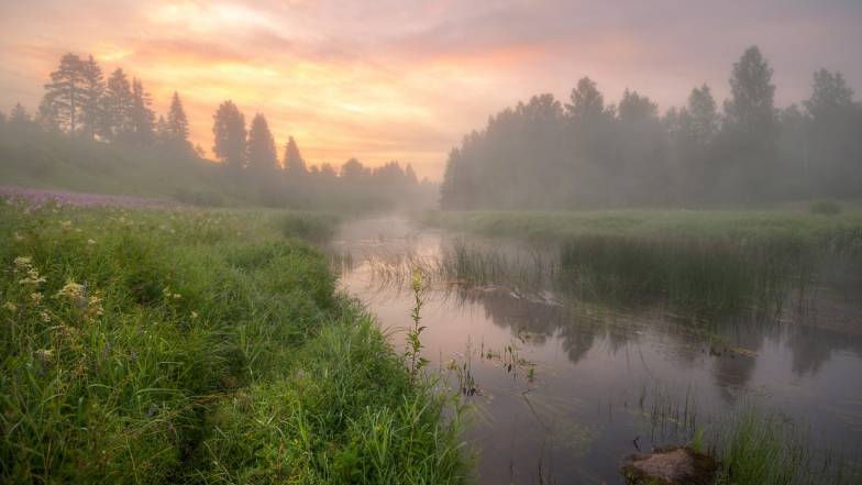 Погода в Києві на середу, 22 червня Погода в Києві на середу, 22 червня